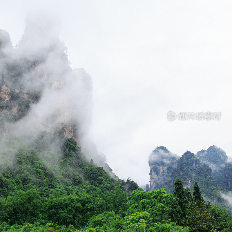 Huge Rock Mountains Surrounded by Green Trees and White Mist Clouds. Epic Mountain Landscape